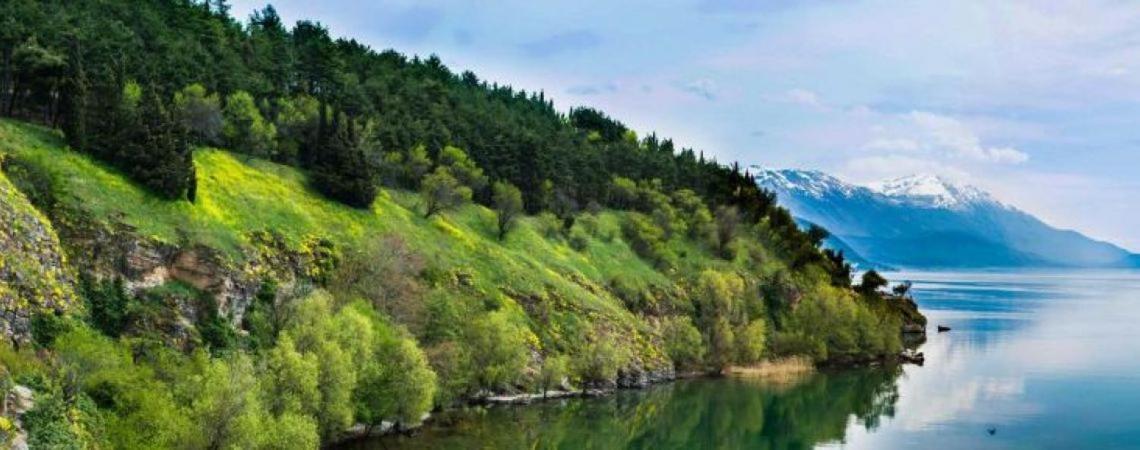 Madox Apartman Ohrid Kültér fotó