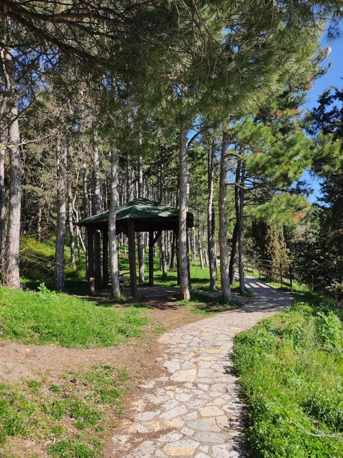 Madox Apartman Ohrid Kültér fotó