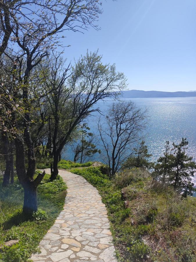 Madox Apartman Ohrid Kültér fotó