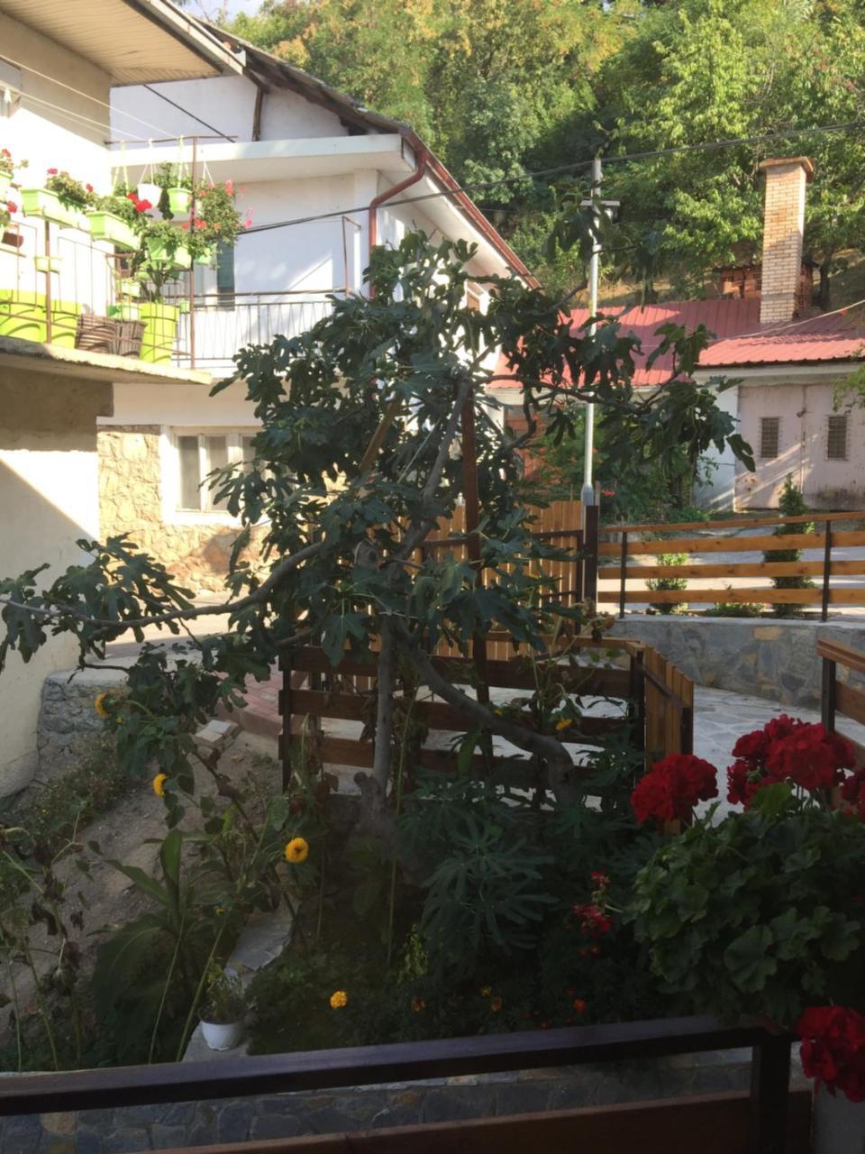 Madox Apartman Ohrid Kültér fotó